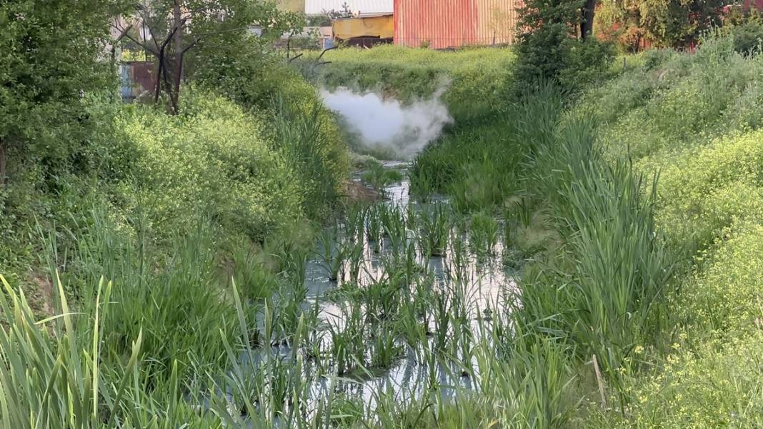 İstanbul'un o mahallesinde büyük panik! Korkunç manzarayı gören istifra etmeye başladı! 8